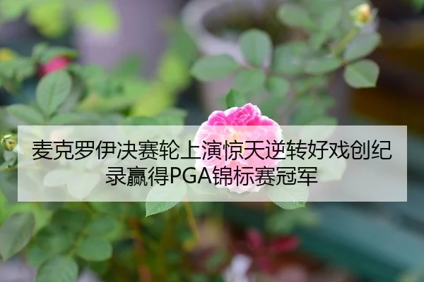 麦克罗伊决赛轮上演惊天逆转好戏创纪录赢得PGA锦标赛冠军