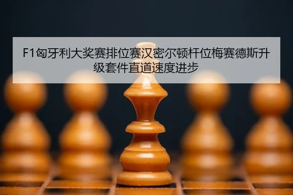 xiong-ya-li-da-jiang-sai-pai-wei-sai-han-mi-er-dun-gan-wei-mei-sai-de-si-sheng-ji-tao-jian-zhi-dao-su-du-jin-bu-2-551.jpg